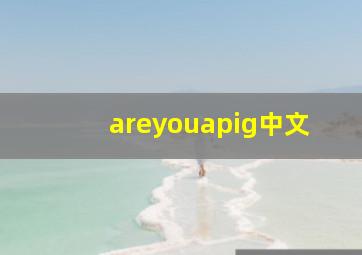 areyouapig中文