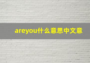 areyou什么意思中文意