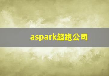 aspark超跑公司