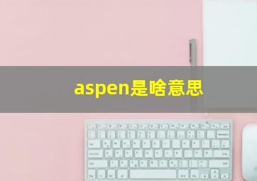 aspen是啥意思