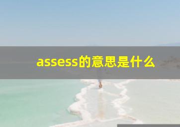 assess的意思是什么