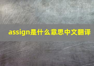 assign是什么意思中文翻译