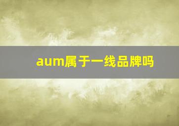 aum属于一线品牌吗