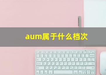 aum属于什么档次