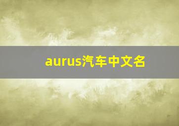 aurus汽车中文名