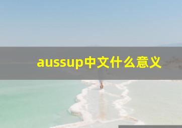 aussup中文什么意义