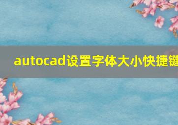 autocad设置字体大小快捷键