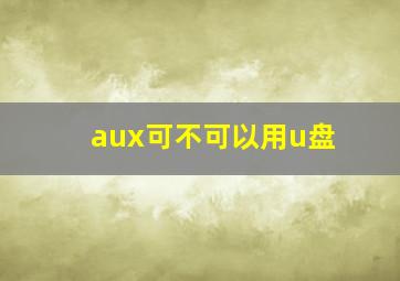 aux可不可以用u盘