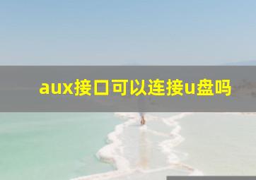 aux接口可以连接u盘吗