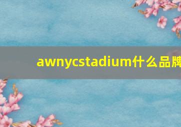 awnycstadium什么品牌