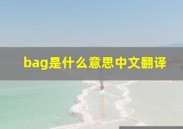 bag是什么意思中文翻译