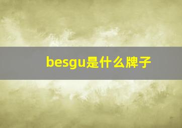 besgu是什么牌子