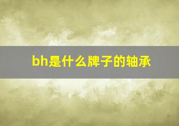 bh是什么牌子的轴承