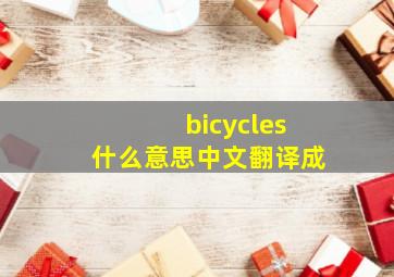 bicycles什么意思中文翻译成