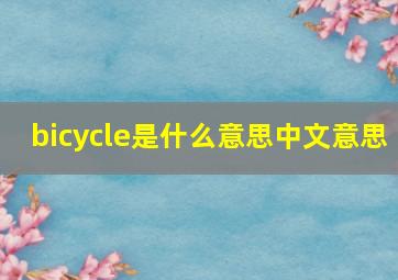 bicycle是什么意思中文意思