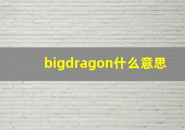 bigdragon什么意思