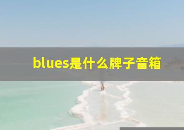 blues是什么牌子音箱