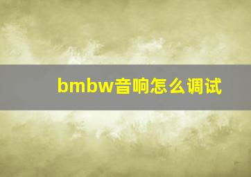 bmbw音响怎么调试