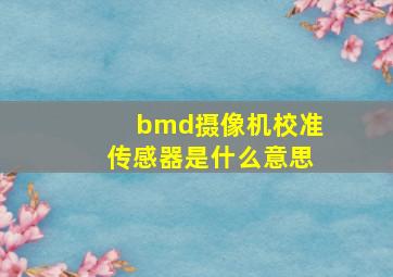 bmd摄像机校准传感器是什么意思