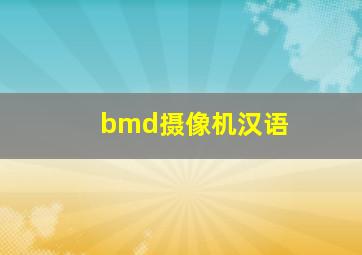 bmd摄像机汉语