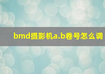 bmd摄影机a.b卷号怎么调