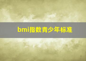 bmi指数青少年标准