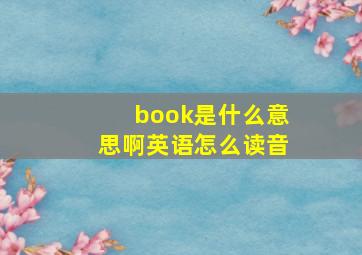 book是什么意思啊英语怎么读音