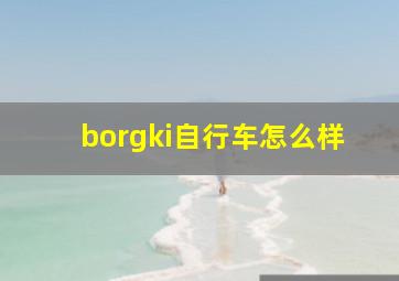 borgki自行车怎么样