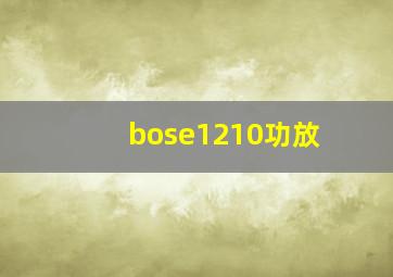 bose1210功放