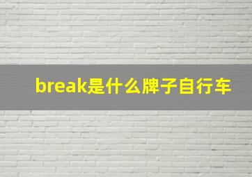 break是什么牌子自行车