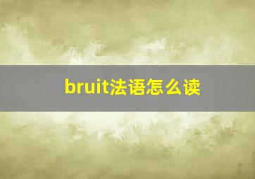 bruit法语怎么读