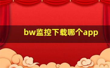 bw监控下载哪个app