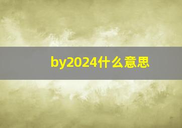 by2024什么意思