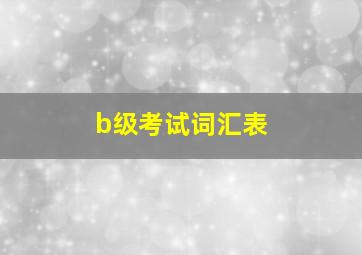 b级考试词汇表