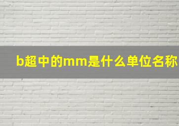 b超中的mm是什么单位名称