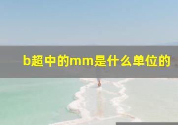 b超中的mm是什么单位的