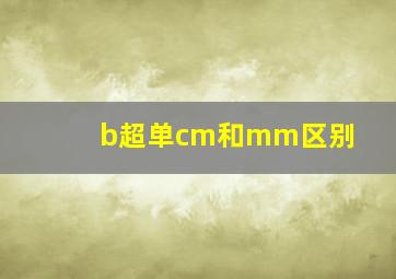 b超单cm和mm区别