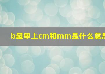 b超单上cm和mm是什么意思