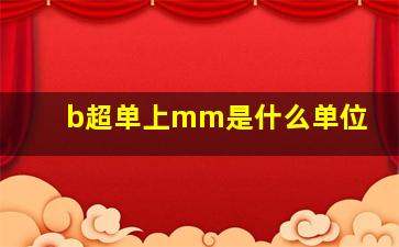 b超单上mm是什么单位