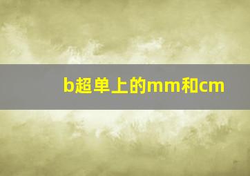 b超单上的mm和cm