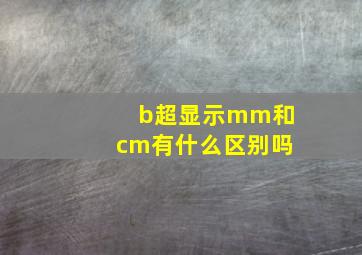 b超显示mm和cm有什么区别吗