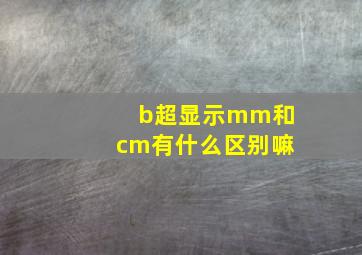 b超显示mm和cm有什么区别嘛