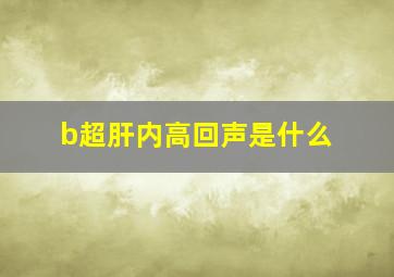 b超肝内高回声是什么