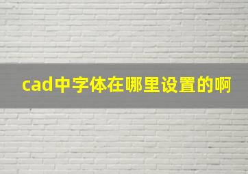 cad中字体在哪里设置的啊