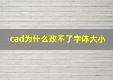 cad为什么改不了字体大小