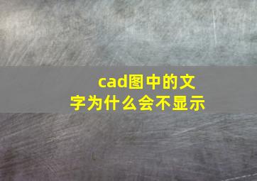 cad图中的文字为什么会不显示