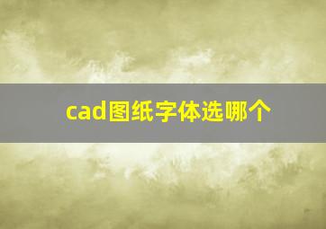 cad图纸字体选哪个