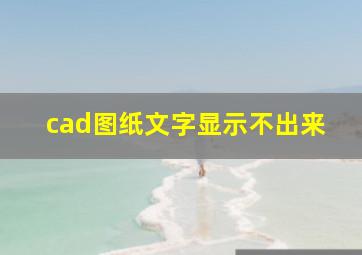 cad图纸文字显示不出来