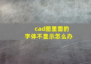 cad图里面的字体不显示怎么办