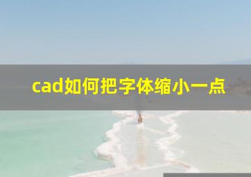 cad如何把字体缩小一点